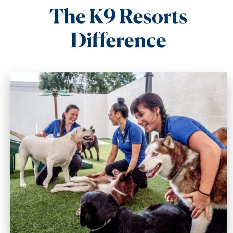 K9 Resorts Luxury Pet Hotel